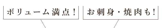 ボリューム満点 お刺身・焼肉も